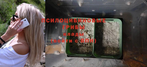 дмт Володарск